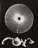 Man Ray, Untitled (Rayograms)