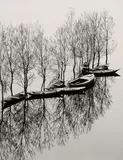 Toni Schneiders, Hochwasser am Skutarisee, Jugoslawien
