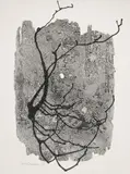 Heinz Hajek-Halke, Ikebana (Lichtgraphik), 1968, Vintage gelatin silver print