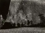 Mario Giacomelli, Paesaggio (from the series: Presa di coscienza sulla natura)