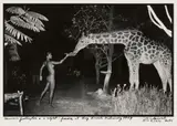 Peter Beard, Maureen Gallagher and a Late Night Feeder at Hog Ranch