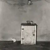Roger Ballen, Little loose Rabbit
