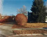 Stephen Shore, North Black Avenue, Bozeman, Montana
