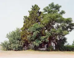 Palmist Building, Havana Junction, Alabama by William Christenberry, 1980, Digital pigment print (Evercolor print), printed, offered Jun 2018