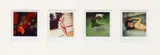 Nobuyoshi Araki, Pola Eros