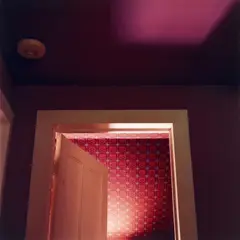 Bathroom Ceiling by Raissa Venables, 2002, Chromogenic print on plastic board, face-mounted to plexiglass, offered Jun 2018