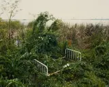 Alec Soth, Venice, Louisiana