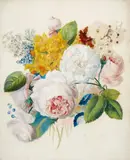 Hartinger, Floral Still Life, Watercolour