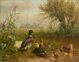 Carl Jutz the Elder, Birds by a Pond