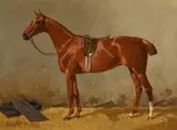Emil Volkers, Two Saddled Horses