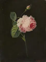 Eduard Magnus, A Rose Branch, Oil on canvas