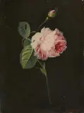 Eduard Magnus, A Rose Branch, Oil on canvas