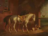Albertus Verhoesen, Stable Scene with Two Horses