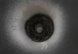 Schwarzes Licht by Otto Piene, 1985, Gouache and traces of fire on card, sold Dec 2017