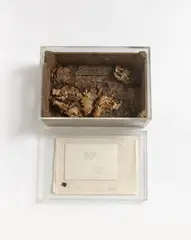Salatkiste by Wolf Vostell, 1970/1971, Wooden box with salad leaves and bronze, linen cloth, and documentation on the initiative. In plexiglass case, offered Dec 2017