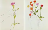 Andy Warhol, Hand with Flowers. Hand with Carnation, 1957, 2 works: each lithograph, watercoloured, on paper. Each
