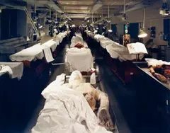 Doug Hall, Anatomy lab, 1992, Chromogenic print