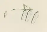 Mimmo Paladino, Untitled, 1990, Watercolour and pencil on card