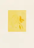 Thomas Schütte, Radierungen, 2001, 5 colour drypoint etchings on card. Each