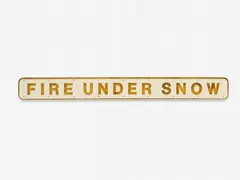 Darren Almond, Fire under snow, 2012, Bronze, painted