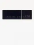 Stephan Crasneanscki, Yasnaya Polyana - Lyev Nikolayevich Tolstoi - Study I (from the series: Landscapes and Memories), 2011, Photo-work in 2 parts: chromogenic prints on aluminium