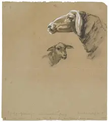 Franz Marc, Schafzeichnung I. Verso: Schaf und großes Schema eines Kuhkopfes, 1905, Double-sided sketch sheet. Brush and India ink drawing with white bodycolour on firm grey brown paper, resp. charcoal and pencil drawing