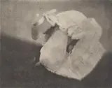 Heinrich Kühn, Study in tonal values (Edeltrude on the hillside), c. 1907, Photogravure on card