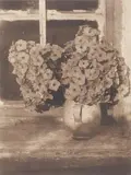 Heinrich Kühn, Blumenstillleben, probably 1925-1930, Multiple oil transfer print on watercolour paper