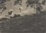Heinrich Kühn, Hikers on the Edge of the Shadows, c. 1915, Multiple oil transfer print on light card, printed 1920s