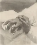 Heinrich Kühn, Hands, 1915, Multiple oil transfer print on Zanders laid paper