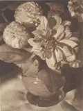 Heinrich Kühn, Untitled, 1924, Multiple oil transfer print on Japan paper, printed