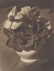 Dahlia by Heinrich Kühn, 1942, Multiple oil transfer print on Japan paper, sold Dec 2017