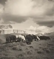 Untitled by Rudolf Koppitz, 1920s-30s, 9 vintage gelatin silver prints (photo postcards). From, offered Dec 2017