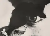 Anton Stankowski, Foto-Auge (Foto-Eye)