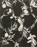 Lou Bonin-Tchimoukoff, Untitled, c. 1930, 2 vintage photograms on gelatin silver paper