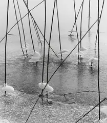 Untitled by Peter Keetman, 1960, Vintage ferrotyped gelatin silver print, offered Dec 2017