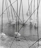 Peter Keetman, Untitled