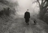 Ellen Auerbach, Big Sur, California, 1949, Gelatin silver print, printed 1960s