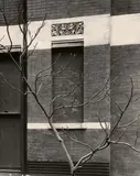 Aaron Siskind, John Borden house, 3949 Park Ave., Chicago