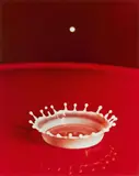 Harold Eugene Edgerton, Milk drop coronet