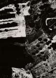 Mario Giacomelli, Paesaggio (from the series: Presa di coscienza sulla natura)