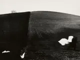 Mario Giacomelli, Paesaggio (from the series: Presa di coscienza sulla natura)