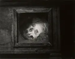 Palermo Catacombs #8, skull in window by Peter Hujar, 1963, Vintage gelatin silver print, offered Dec 2017