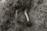 Gundula Schulze Eldowy, Polen (Poland), 1980, Gelatin silver print