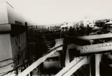 Daidō Moriyama, Untitled (from the series: Memory of Dog/A Following Story/Landscape)