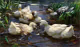 Five Ducks on the Water by Alexander Koester, Oil on canvas (relined), sold Nov 2017