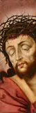 attributed to Bartholomaeus Bruyn the Elder, Christ with the Crown of Thorns, Oil on panel