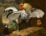 Jakob Samuel Beck, A Rooster Fighting a Polecat, Oil on canvas (relined)