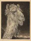 Eduard Wiiralt, Untitled