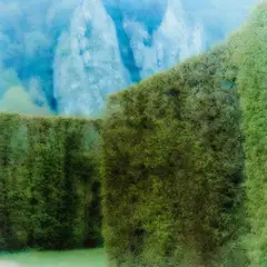 Château Freyr, Belgium. Belœil, Belgium by Lynn Geesaman, 2004, 2 Arbeiten: je C-Print, sold Oct 2017